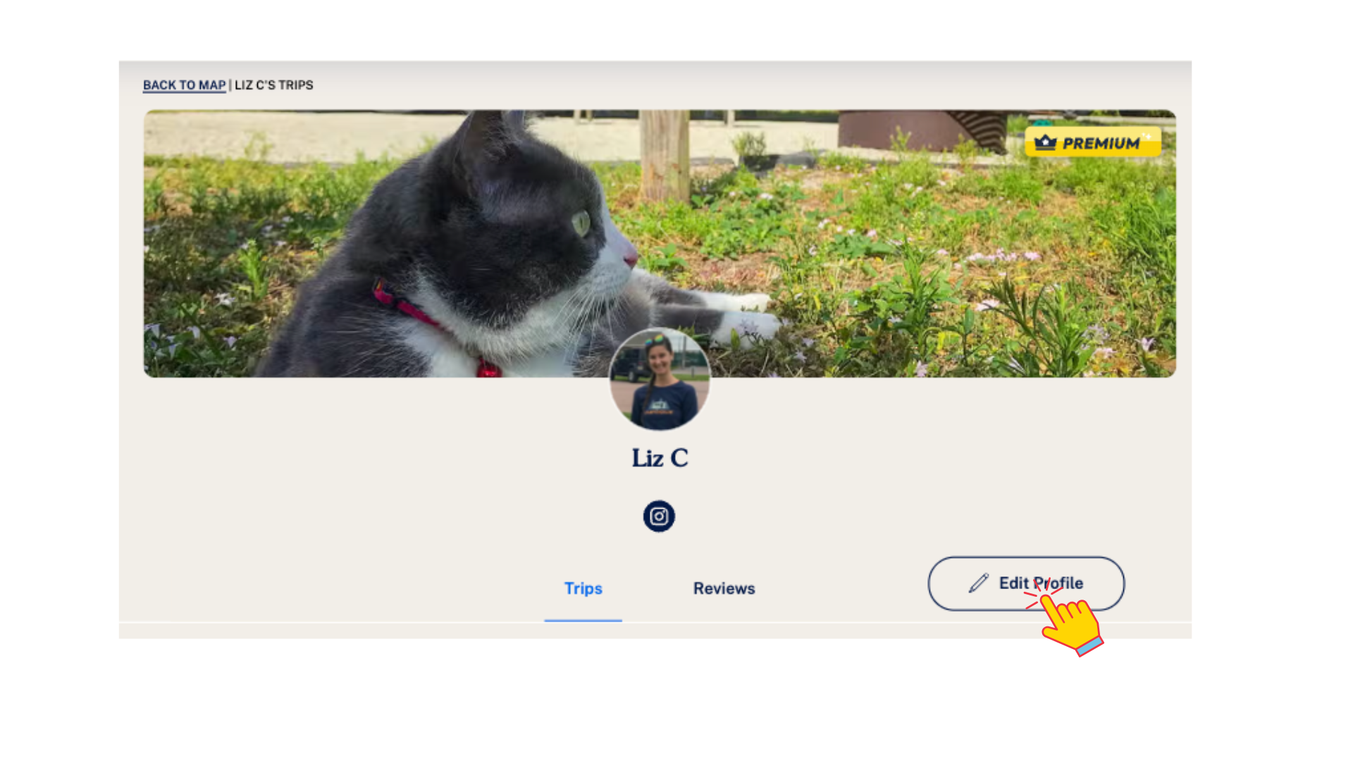 profile-edit-web.png